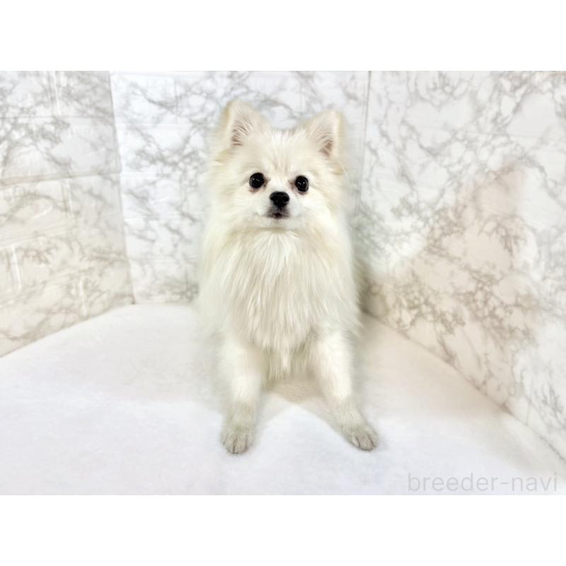 すわっこちゃん1枚目