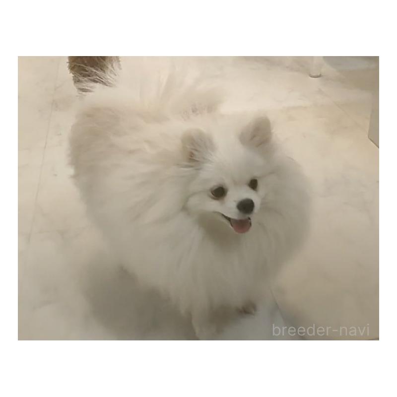 ピノちゃん1枚目