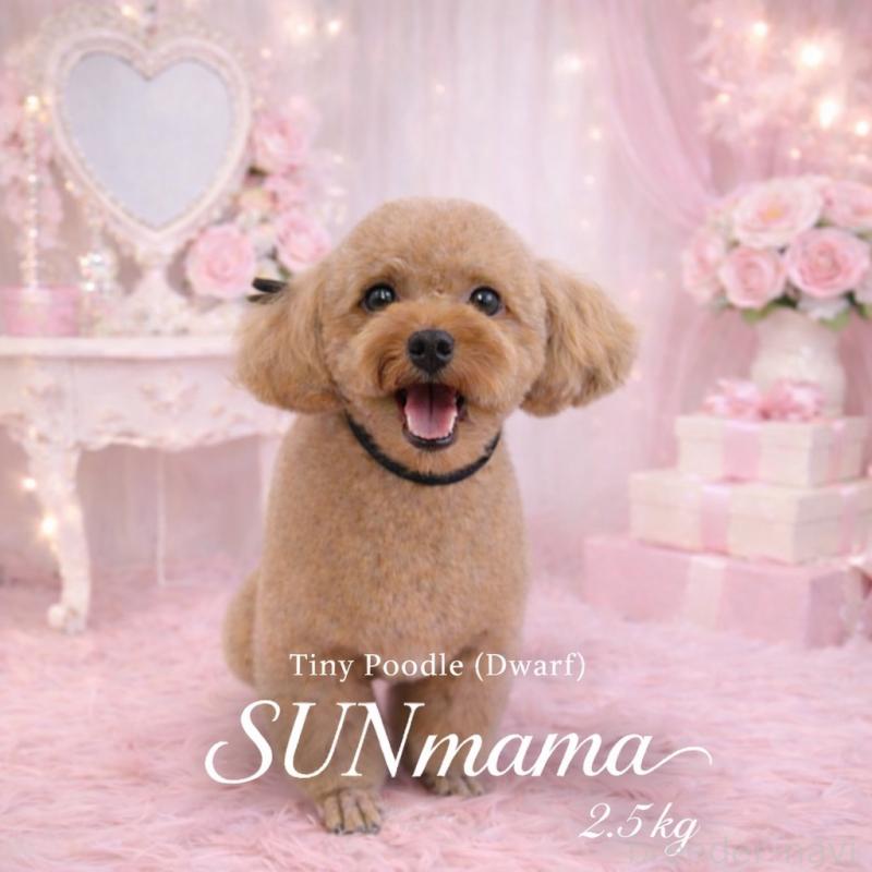 サンちゃん1枚目