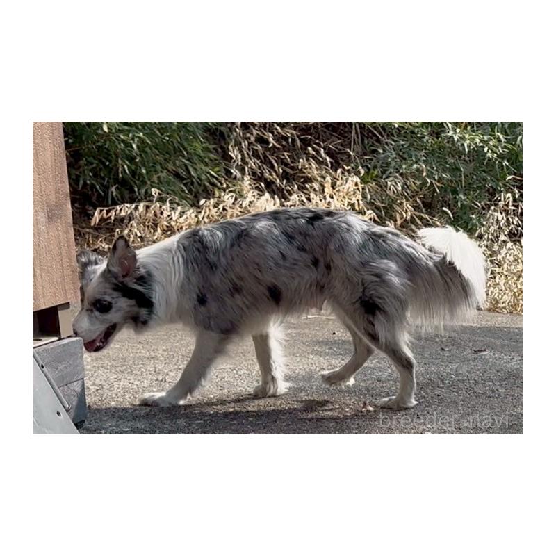 シーネちゃん1枚目