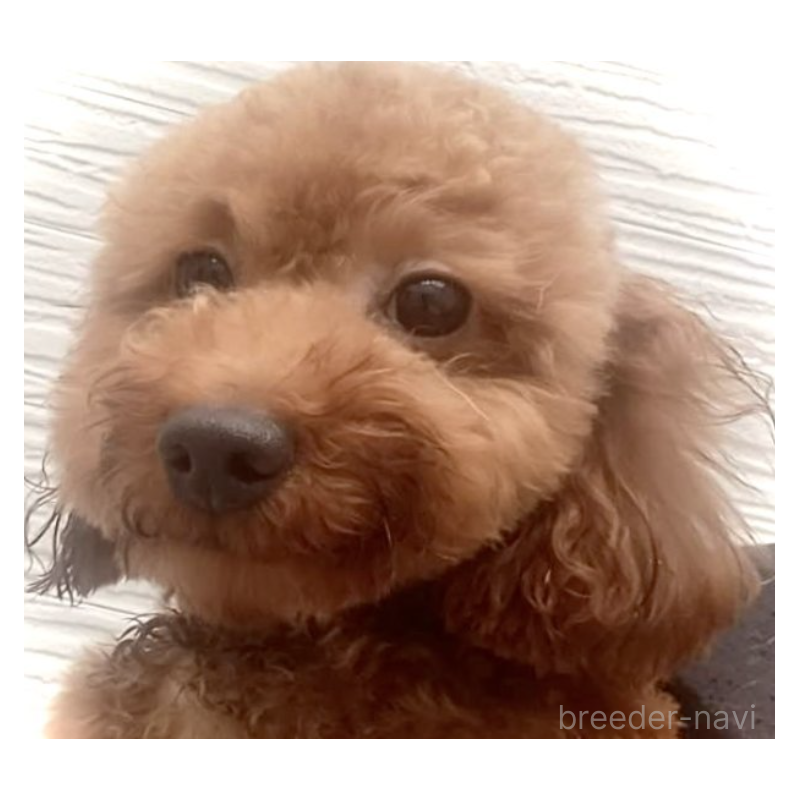 ミカンちゃん1枚目