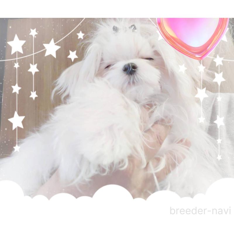 ランランくん1枚目