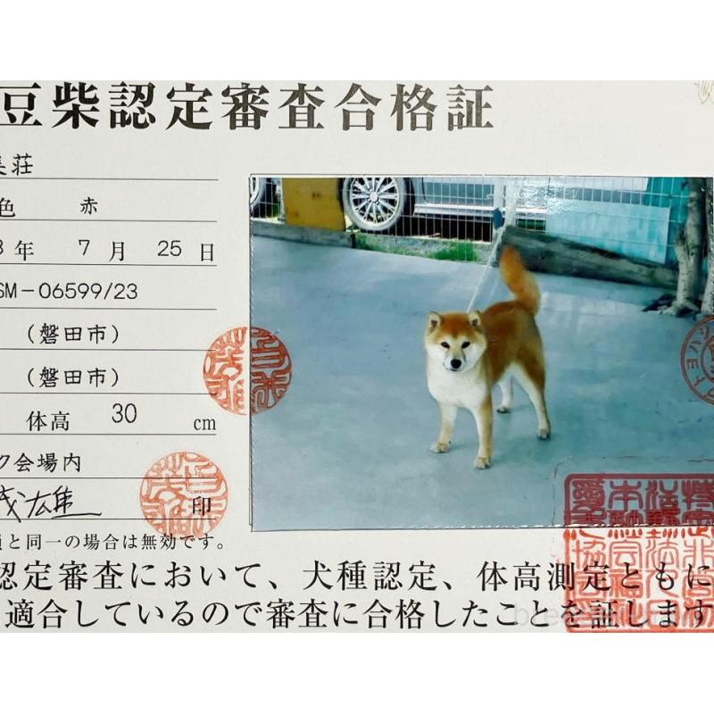 文奈ちゃん1枚目