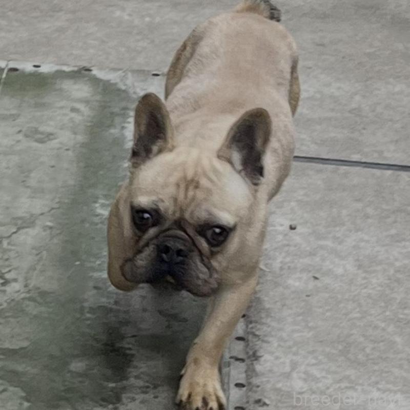 おこげくん1枚目