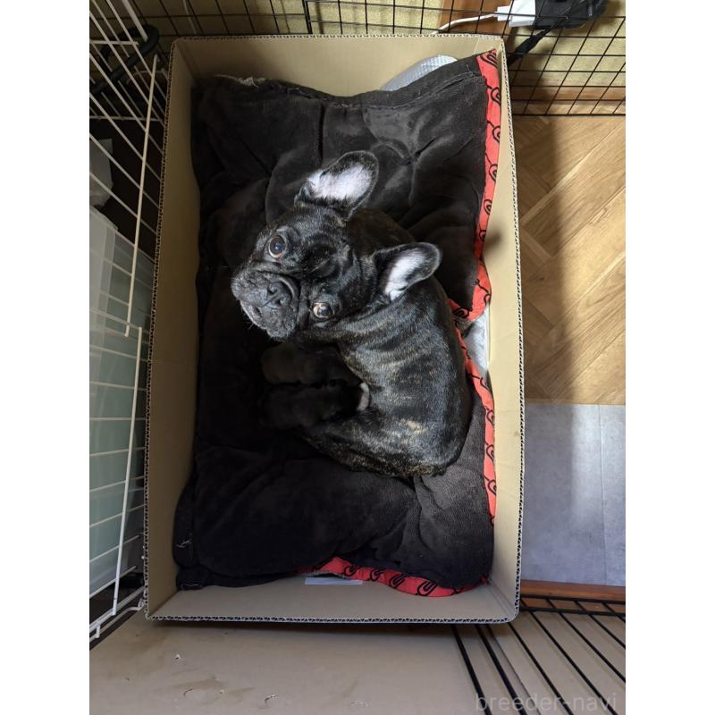 うーちゃん1枚目