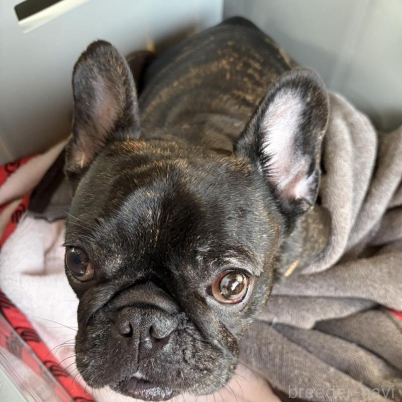 うーちゃん1枚目