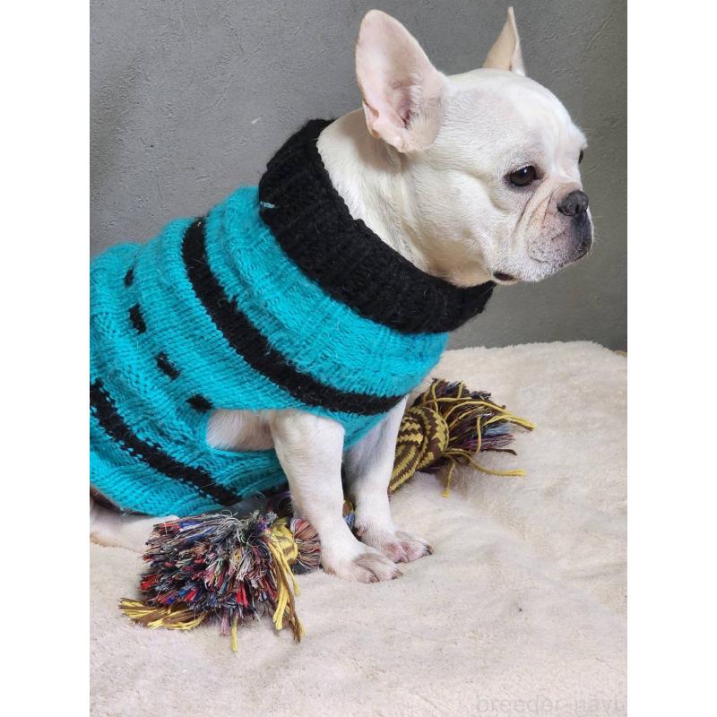 ミルクちゃん1枚目