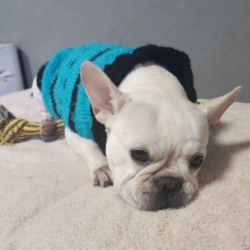 ミルクちゃん1枚目