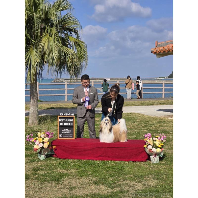 デンジくん1枚目