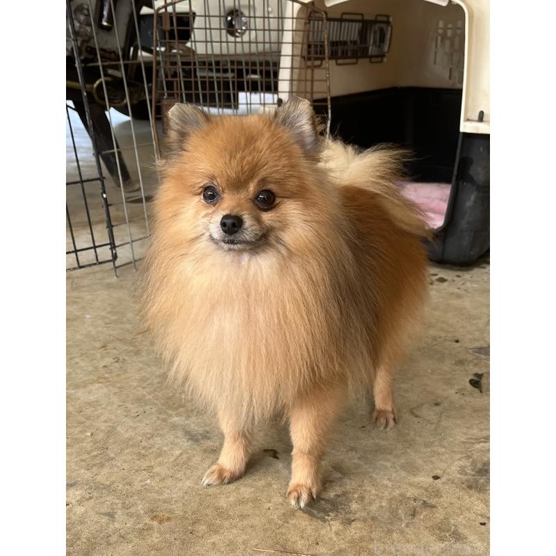 モウリくん1枚目