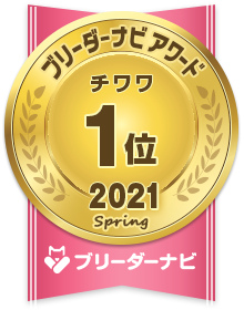 東京都のチャイニーズクレステッドドッグ 男の子 16 04 01生まれ フォーンセーブル ホワイト 子犬id ブリーダーナビ 東京都のチャイニーズクレステッドドッグ 男の子 16 04 01生まれ フォーンセーブル ホワイト 子犬id ブリーダーナビ