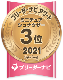 東京都のボーダーコリー 男の子 11 26生まれ ブルーマール 子犬id 1316 ブリーダーナビ 東京都のボーダーコリー 男の子 11 26生まれ ブルーマール 子犬id 1316 ブリーダーナビ