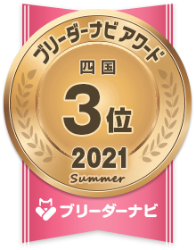 香川県のポメラニアン 男の子 19 01 10生まれ クリーム 子犬id ブリーダーナビ