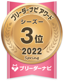 人気犬種部門_シーズー3位
