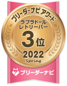 人気犬種部門_ラブラドールレトリーバー3位