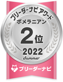 人気犬種部門_ポメラニアン2位