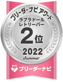 人気犬種部門_ラブラドールレトリーバー2位