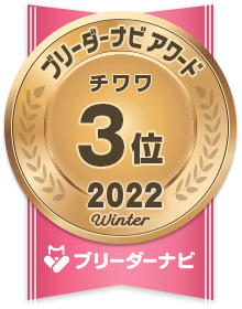 人気犬種部門_チワワ3位