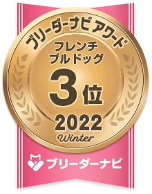 人気犬種部門_フレンチブルドッグ3位
