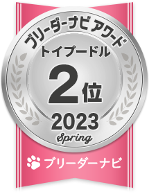 人気犬種部門_トイプードル2位