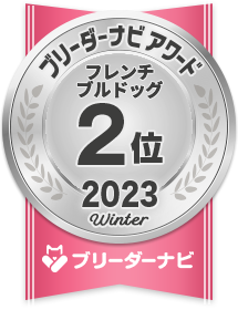 人気犬種部門_フレンチブルドッグ2位