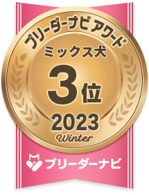 人気犬種部門_ミックス犬3位