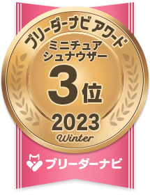 人気犬種部門_ミニチュアシュナウザー3位