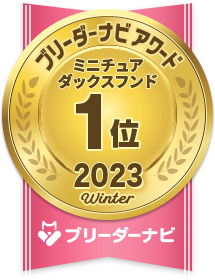 人気犬種部門_ミニチュアダックスフンド1位