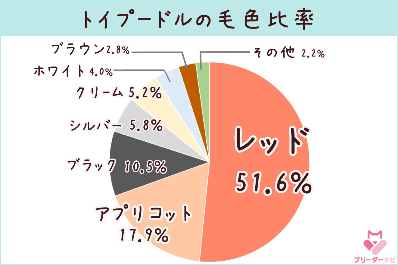 トイプー毛色比率_レッド