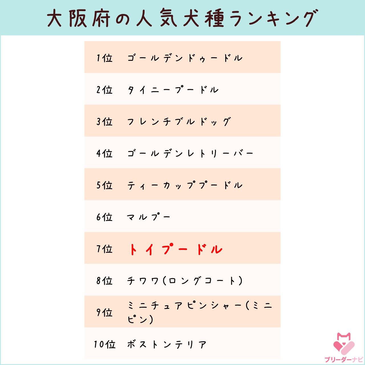 人気犬種ランキング_大阪_トイプー