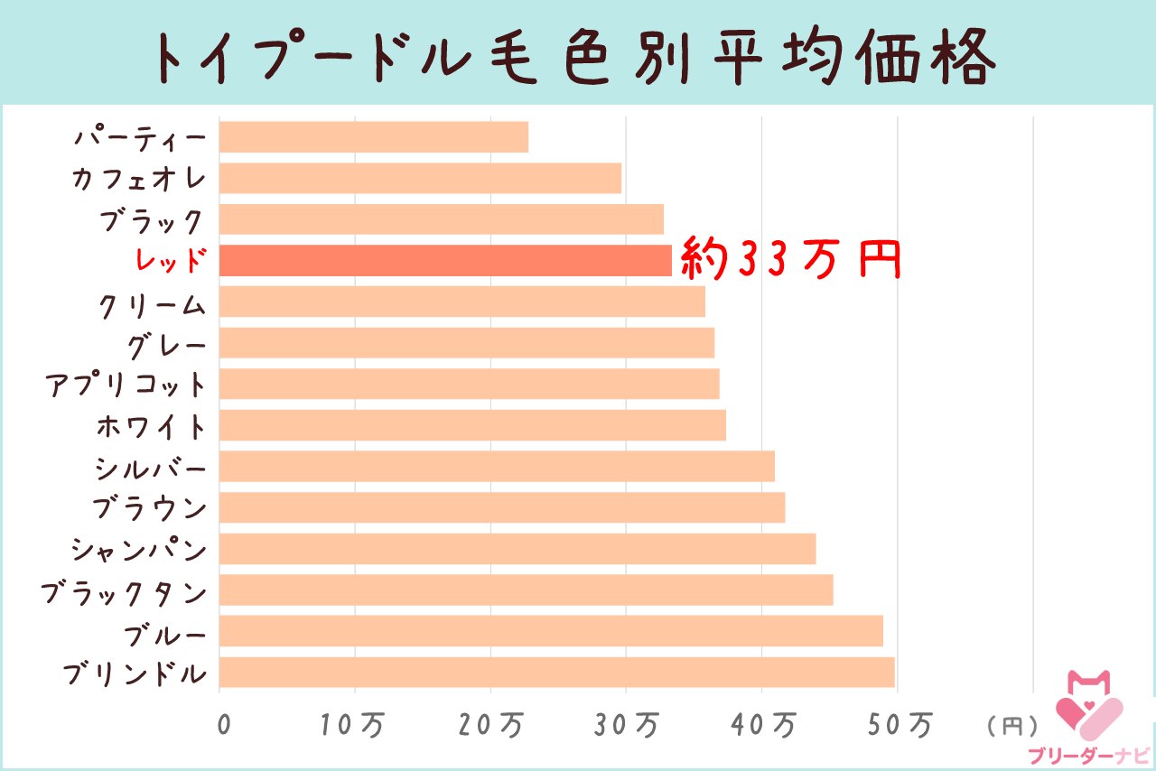 トイプー毛色別平均価格_レッド