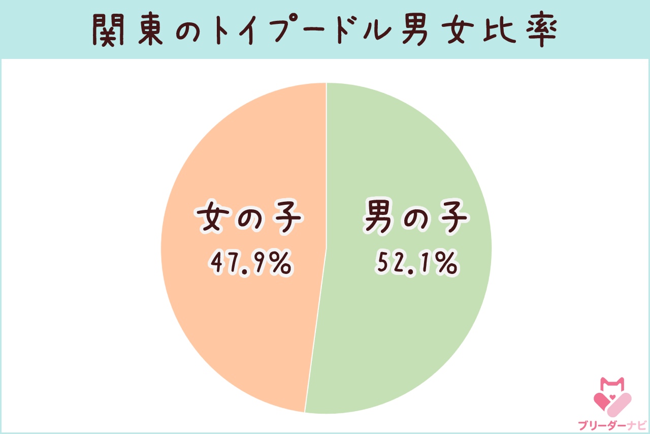 トイプー男女比率_関東