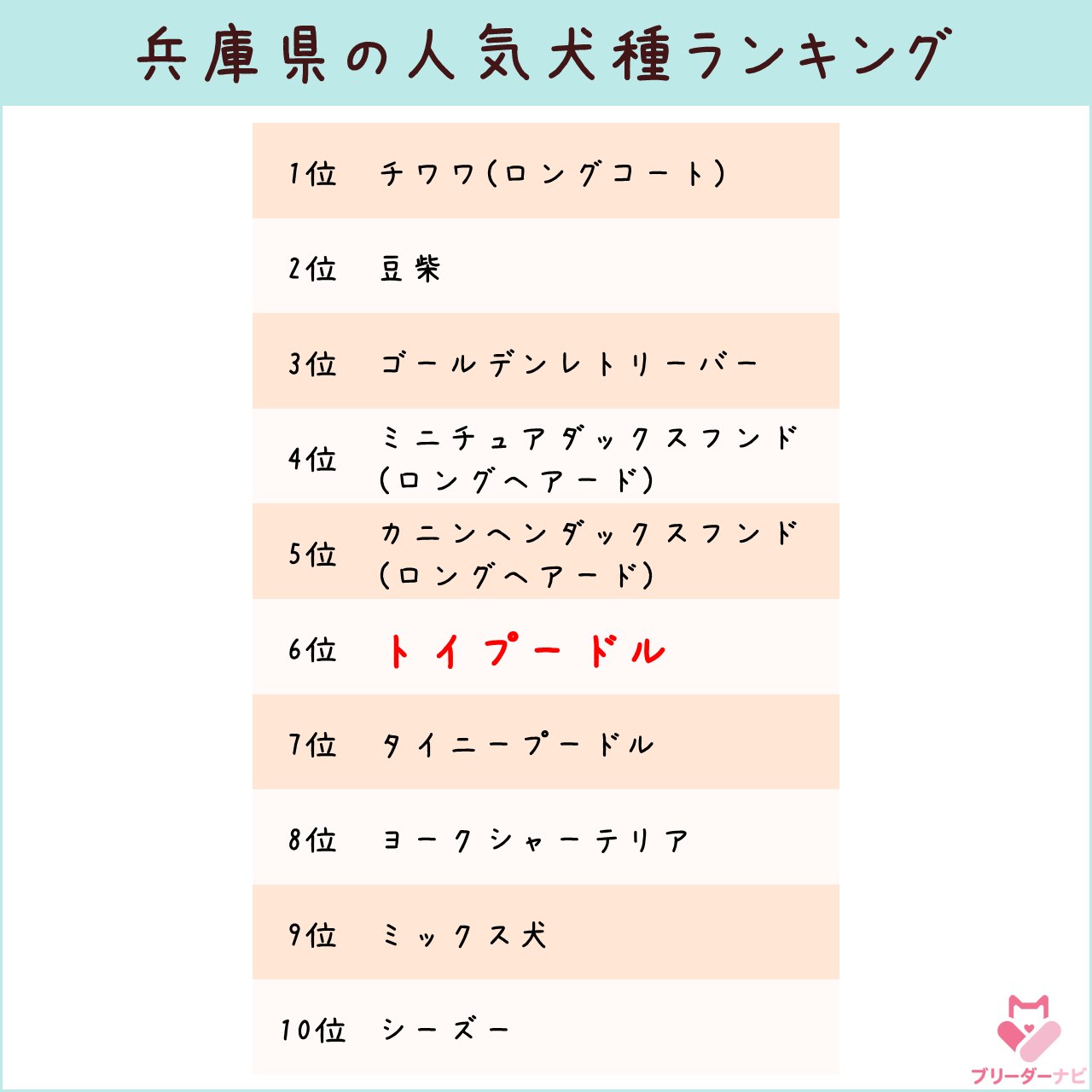 人気犬種ランキング_兵庫_トイプー