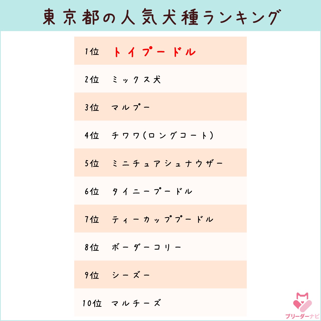 人気犬種ランキング_東京_トイプー
