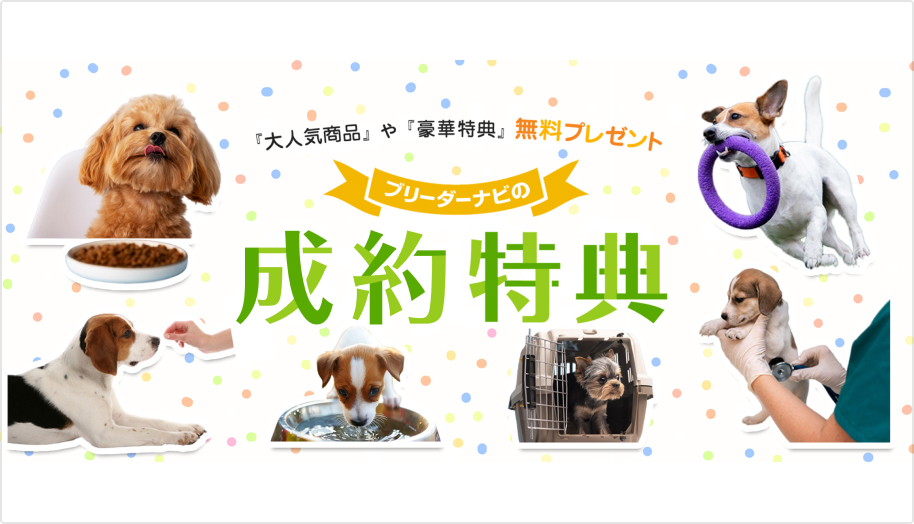 高い”お客様満足度”で選ばれる、マッチングサイト