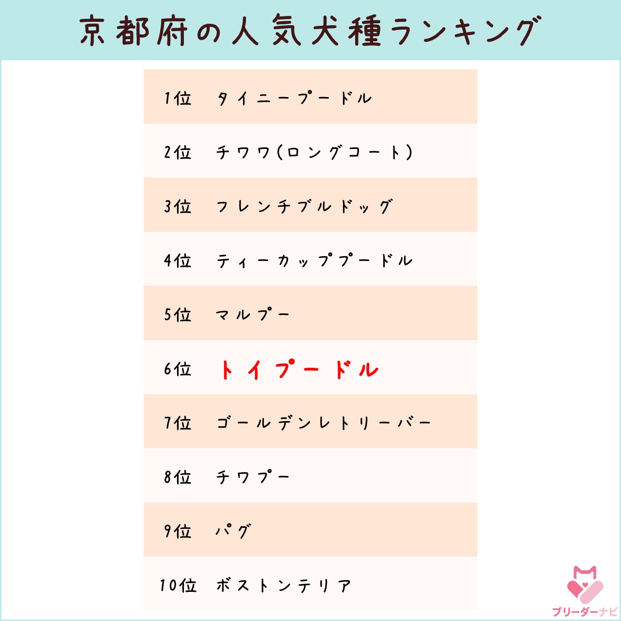 人気犬種ランキング_京都_トイプー