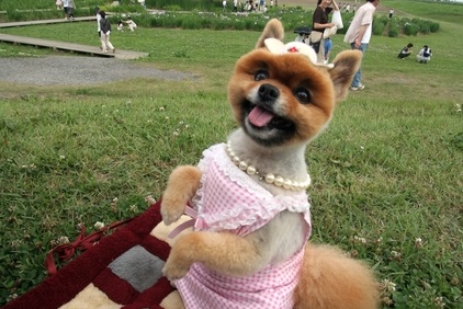 ひな祭り