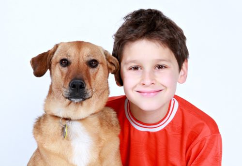 犬 少年