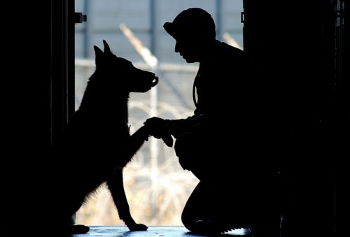 犬と人