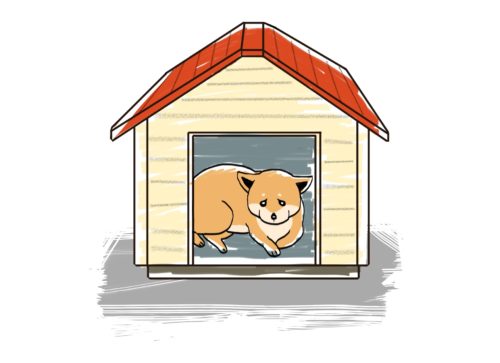 初めて犬を飼う前に知っておきたい 必要な準備と心構え ブリーダーナビ 初めて犬を飼う前に知っておきたい 必要な準備と心構え ブリーダーナビ