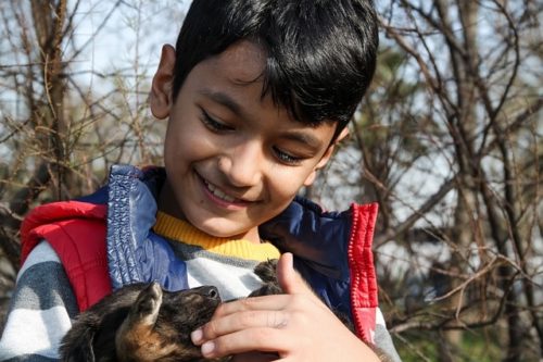 少年と犬