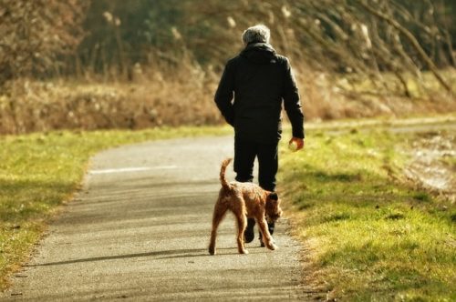 海外 ペット先進国 の犬事情って 日本との違いをチェック ブリーダーナビ