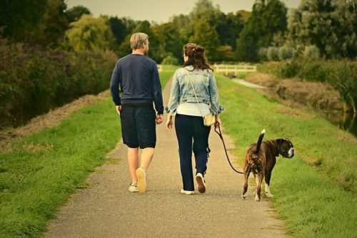 犬とカップル