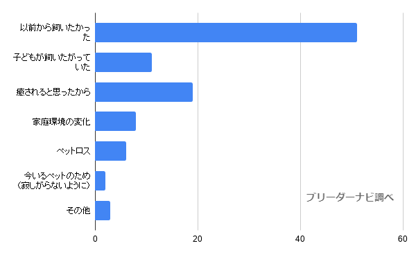 犬との生活