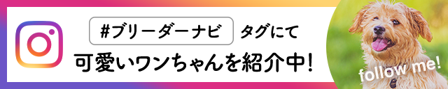 ブリーダーナビ公式Instagram