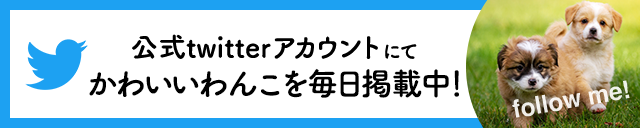 ブリーダーナビ公式Twitter