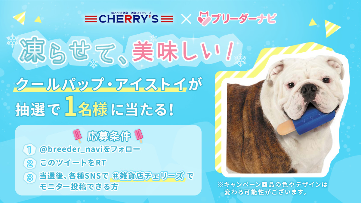 【プレゼントキャンペーン】輸入ペット雑貨 雑貨店CHERRY’Sってどんなお店？
