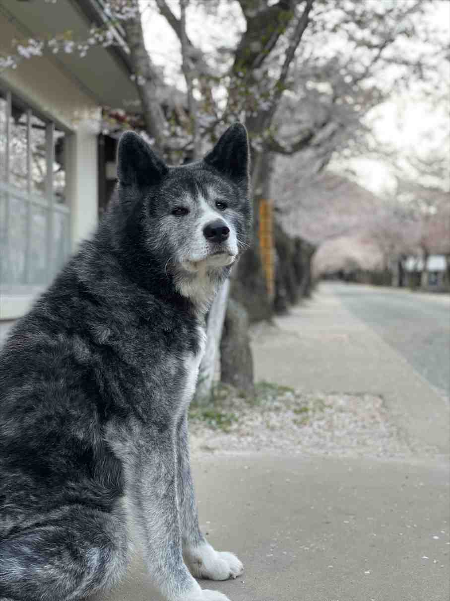 風雲丸くん③