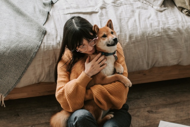 犬が何もないところに吠える 霊感があるの ブリーダーナビ