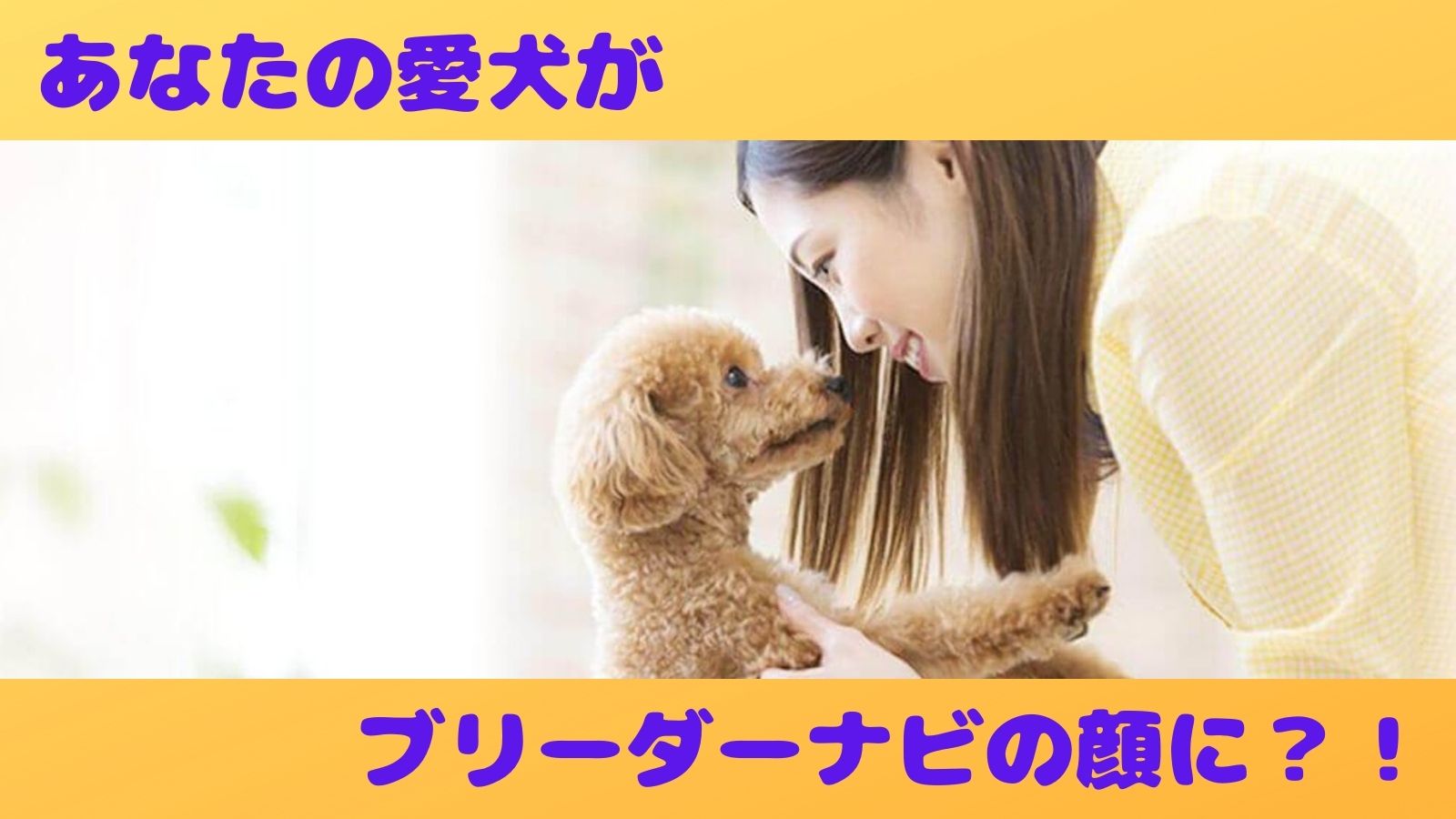 【2ヶ月に1回募集】Twitterのヘッダー箇所をあなたの愛犬にさせてください♡